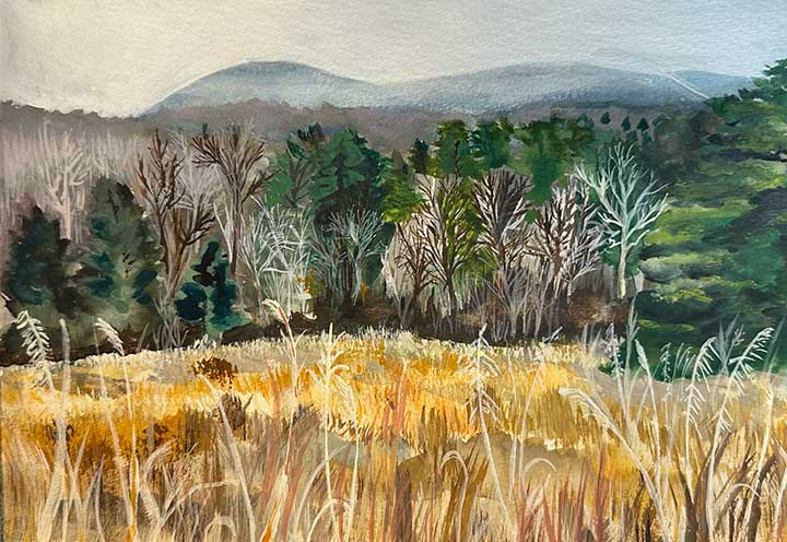 Landscapes - Jennifer Millard Art