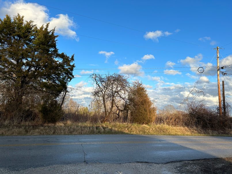 Photo of the view I had from across the road on this backroad