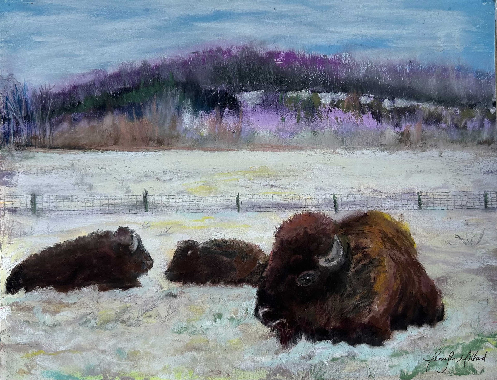 A soft pastel painting painted en plein air of bison resting in fresh winter snow at Big Bone Lick Historic State Park.