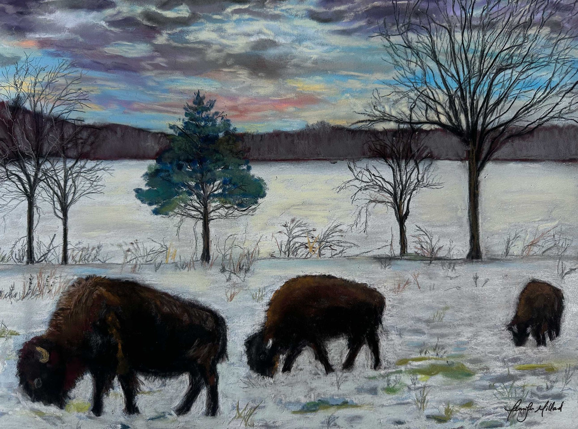 This giclee print of a soft pastel by Jennifer Millard, depicts bison grazing in the snow on a cold winter day in Kentucky.