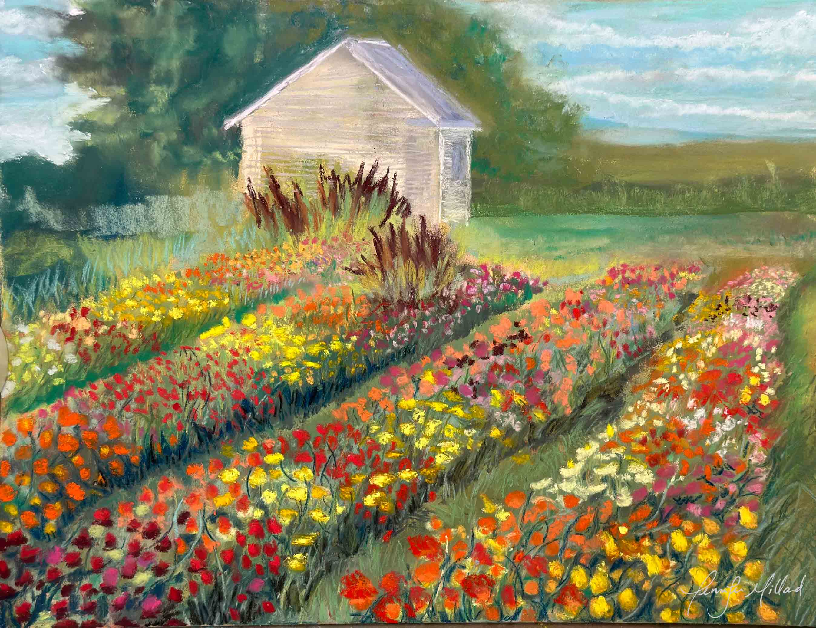 This colorful soft pastel of a Kentucky farm displays the vivid reds, oranges and yellows of mid summer zinnias in long rows.