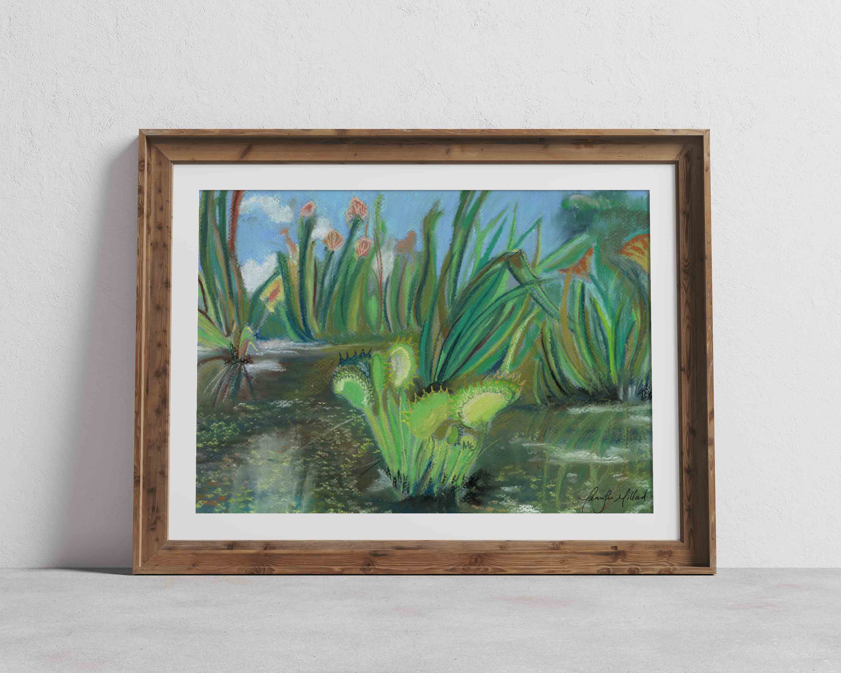 A soft pastel print of a venus fly trap in a wet fen displayed in a dark brown frame with a white mat.