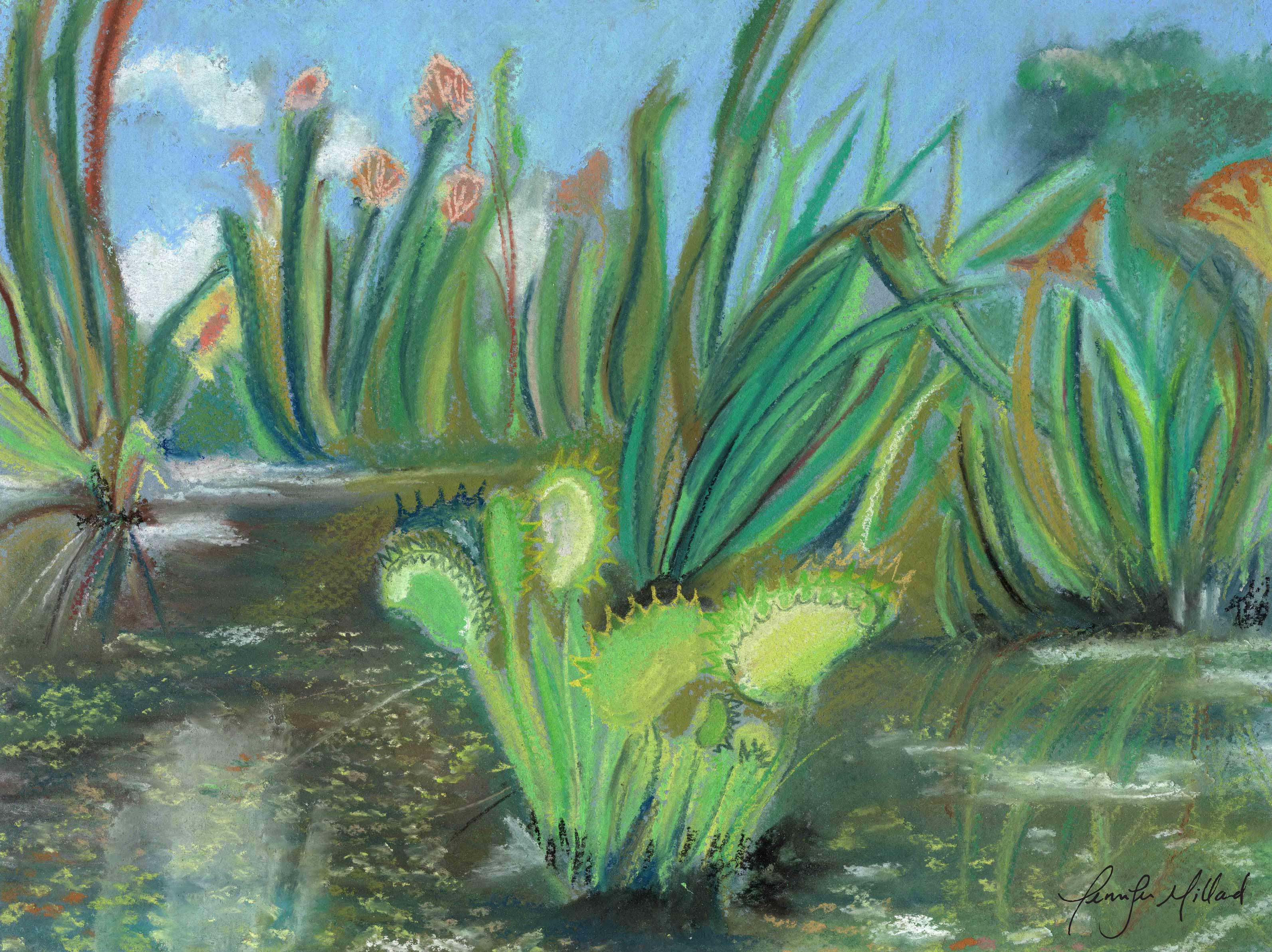 A soft pastel print of a venus fly trap in a wet fen surrounded by vegetation and peachy flowers.