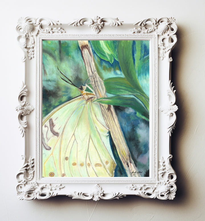 A  giclee print of a resting yellow green butterfly sittings on a branch with a faded green background in an ornate white frame.