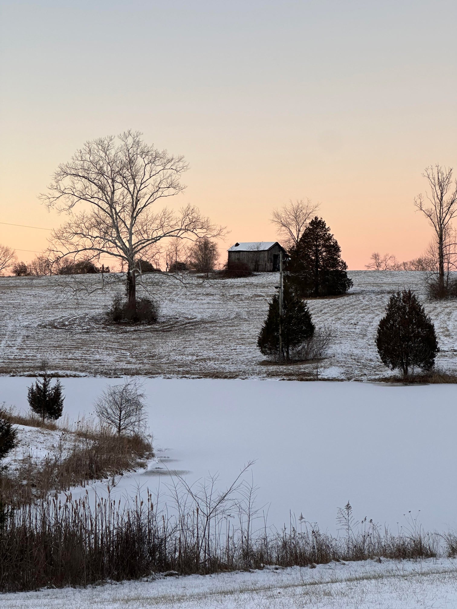 The reference photo used to inspire this landscape painting by Jennifer Millard.