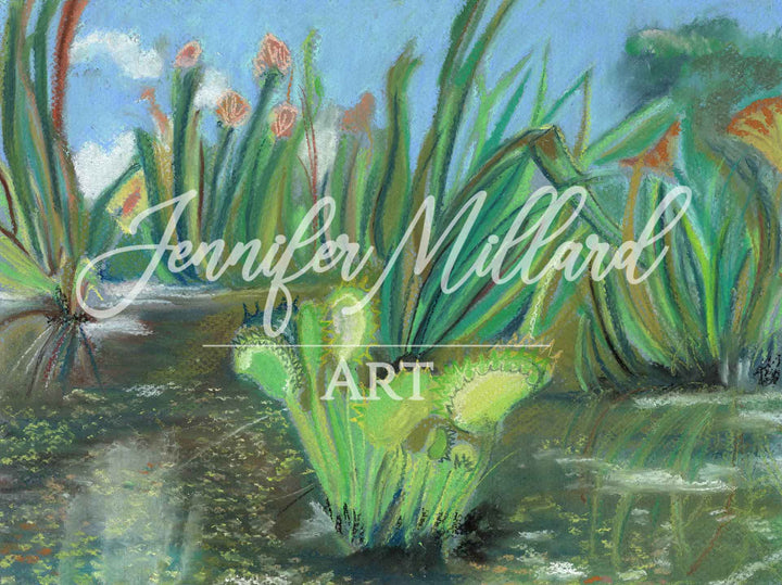 A Midwest Fen Fine Art Print - Jennifer Millard Art