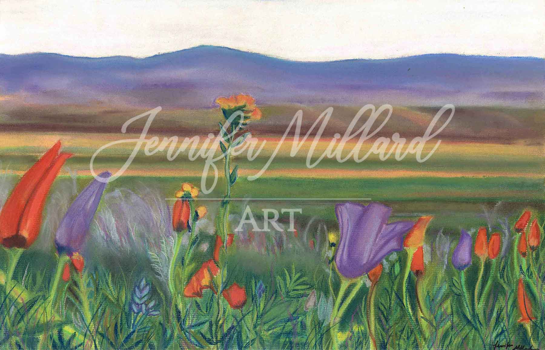 Arizona Poppies Fine Art Print - Jennifer Millard Art