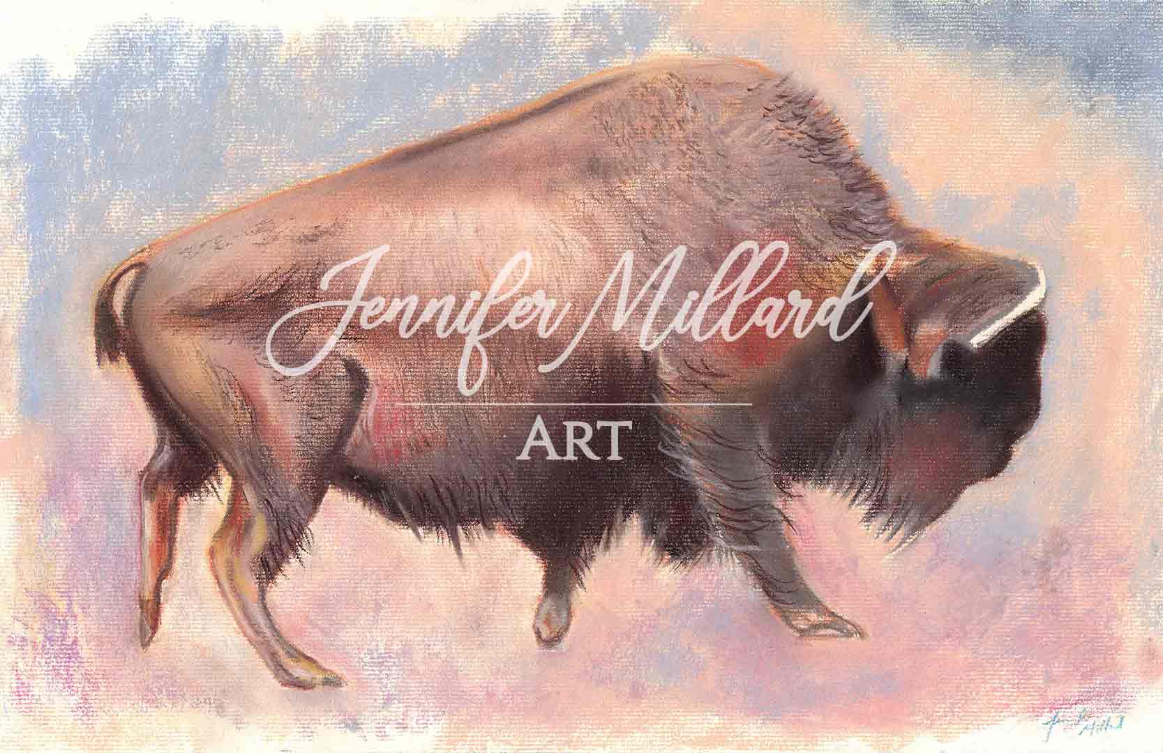 Bison Fine Art Print - Jennifer Millard Art