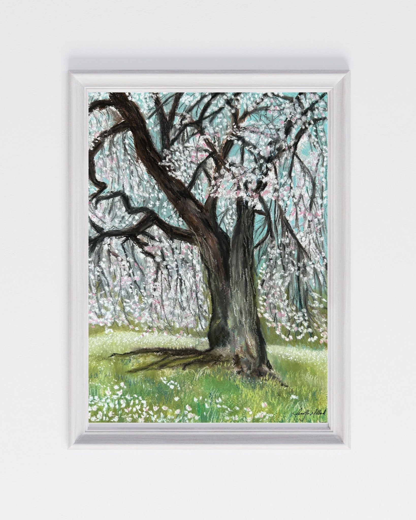 Cherry Blossom Fine Art Print - Jennifer Millard Art