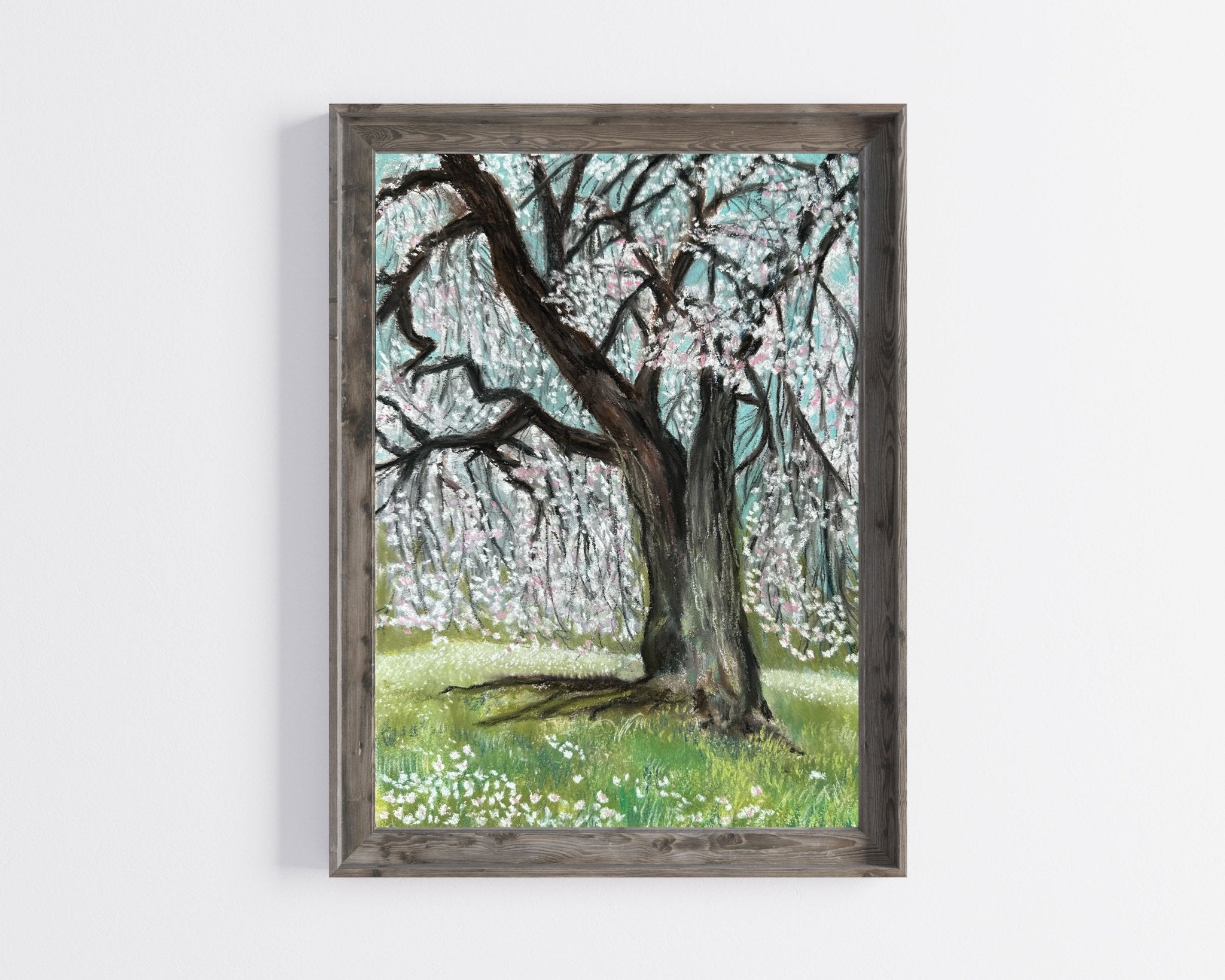 Cherry Blossom Fine Art Print - Jennifer Millard Art