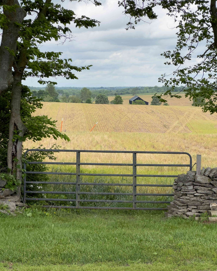 Farm Near Danville Fine Art Print - Jennifer Millard Art