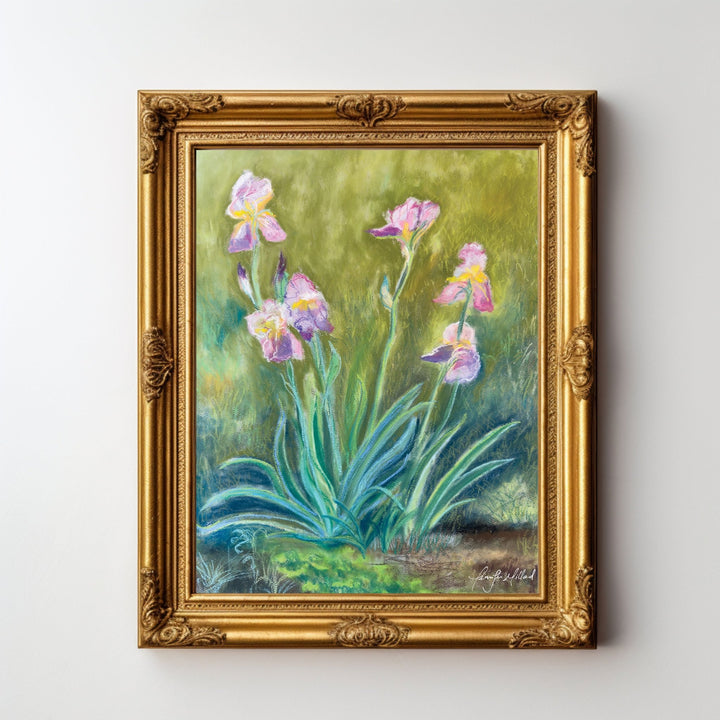 Irises Fine Art Print - Jennifer Millard Art