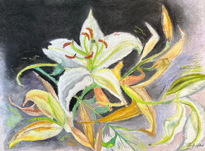 Lily Fine Art Print - Jennifer Millard Art