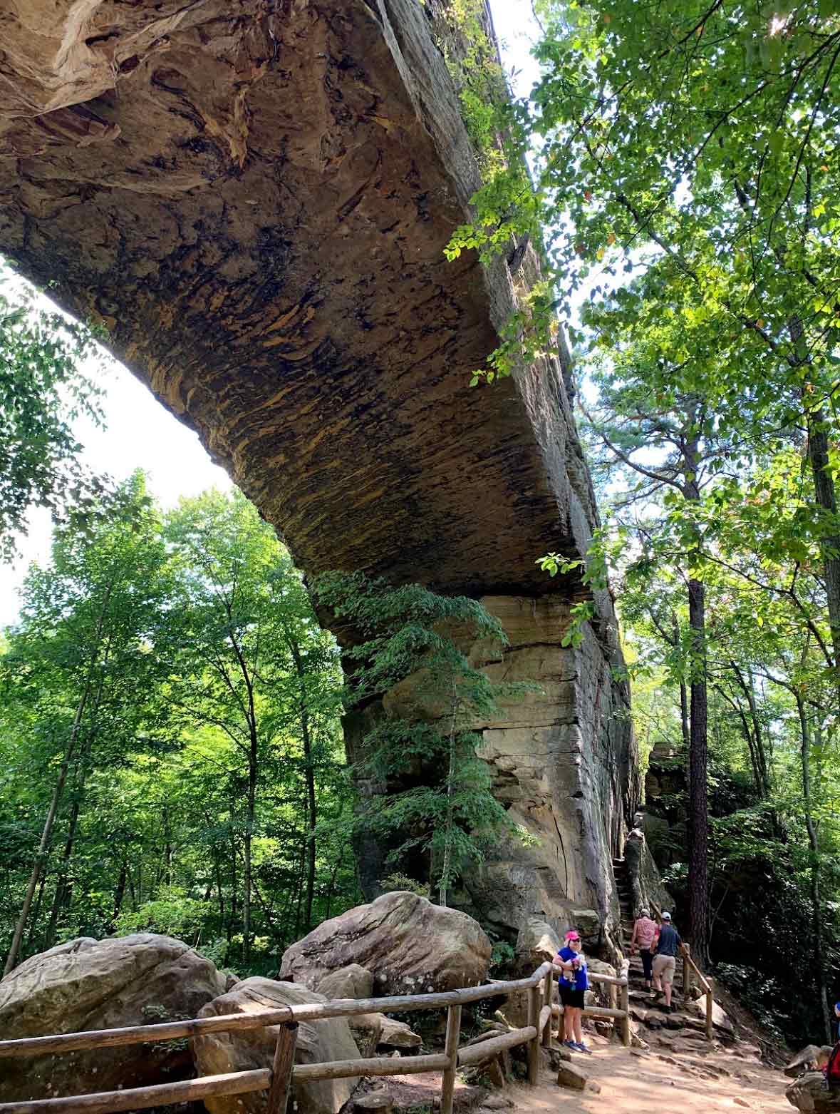 Natural Bridge & Fat Man's Squeeze - Red River Gorge Fine Art Print - Jennifer Millard Art