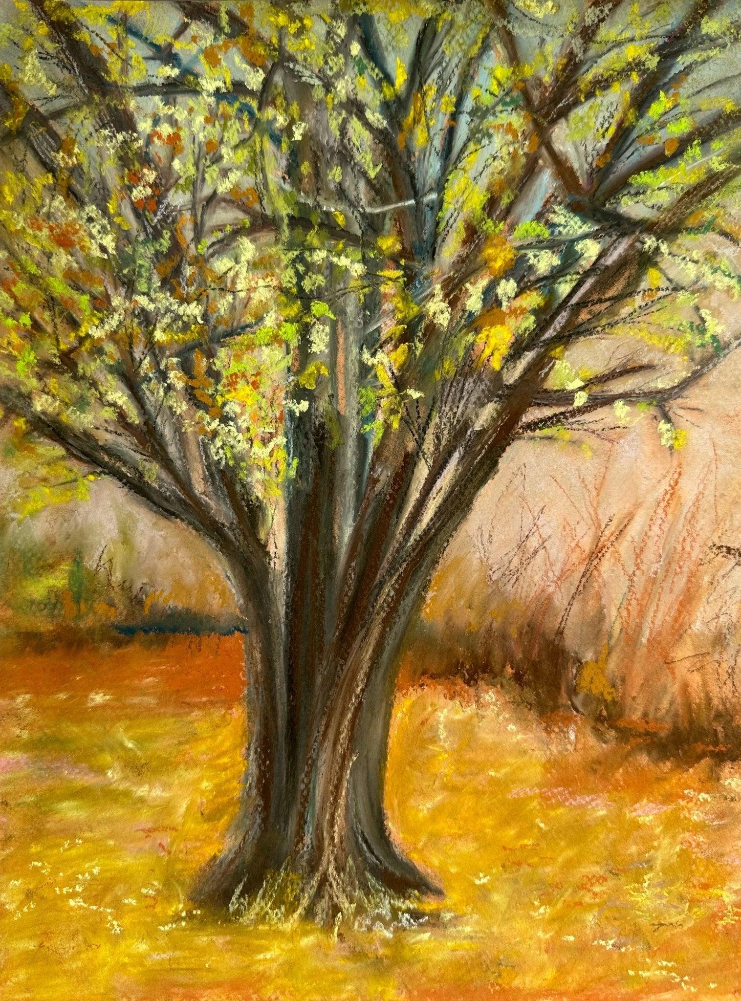 White Maple Fine Art Print - Jennifer Millard Art