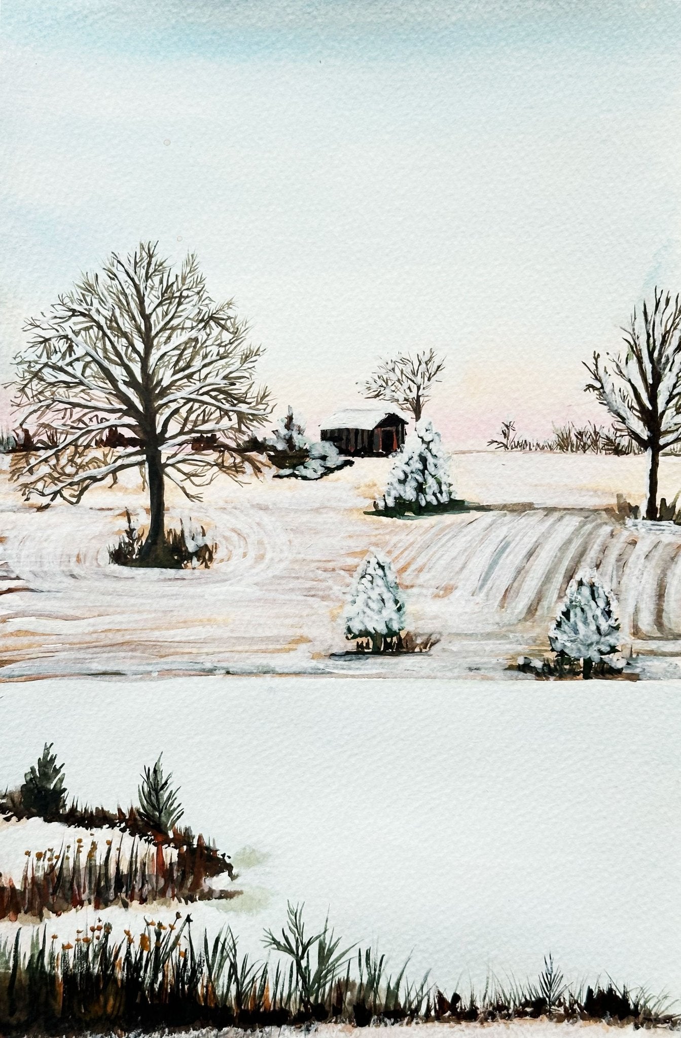 Winter Dusting Fine Art Print - Jennifer Millard Art